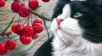 Qua đêm nay 4 tuổi như Rồng cưỡi mây: Ăn nên làm ra, một bước thành đại gia tiền tỷ