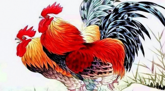 Đúng 1/5 âm: 4 tuổi đến thời hoàng kim rực rỡ, làm 1 hưởng 10 tiền đếm mỏi tay