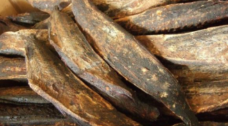 Món 'cá cứng như gỗ' giá hơn 1 triệu đồng/kg người Việt đổ xô mua là 'bí quyết trường thọ' của người Nhật