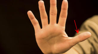 Dù nam hay nữ, bàn tay có 5 dấu hiệu này là phúc lộc trời ban, cả đời an nhàn