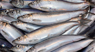 8 loại cá 'đại bổ' giàu dinh dưỡng giá bình dân bán đầy ngoài chợ: Ai không biết để mua quá phí