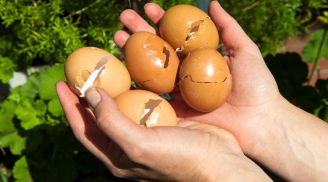 Ăn trứng vứt vỏ đi là dại: Giữ lại làm việc này lợi đủ đường, ai không biết quá phí
