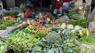 Đi chợ thấy 8 loại rau này nên mua ngay: Vừa bổ vừa sạch ăn ngon lại ít bị phun thuốc