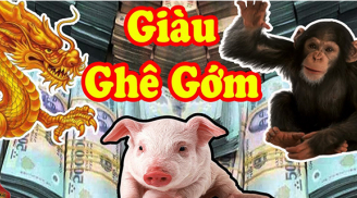 Tài lộc rộn ràng: 4 tuổi chính thức thoát nghèo, dễ có trong tay tiền tỷ từ tháng 6 Âm