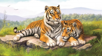 Xởi lởi trời cho: Cuối tháng 5 âm lịch, 3 con giáp tài lộc rực rỡ, tiền nhiều như nước