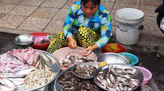Ra chợ thấy bán loại cá này hãy mua ngay: Bổ ngang nhân sâm, tổ yến, giá rẻ như cho