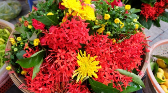 Đừng cúng hoa cúc, hoa ly mãi: Đây là 6 loại hoa đại lộc, mùng 1 thắp hương cả tháng may mắn