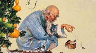 Vì sao các cụ nhắc: Heo đến thì nghèo, chó đến thì giàu, mèo đến thì trên đầu để tang?