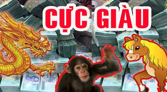 Tháng 8 dương đến Tết 2024: 4 tuổi gánh lộc về nhà, tiền đếm mệt nghỉ