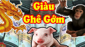 Từ 2023-2025: 4 tuổi công danh như cá bơi xuôi dòng, vận may liên tiếp ập đến