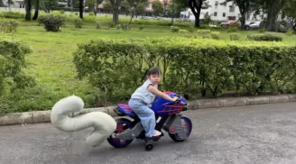 Con gái nhà Cường Đô La mới 3 tuổi đã tự lái siêu xe cực ngầu, đúng 'chuẩn con nhà nòi'