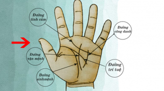 Thần Tài đánh dấu: Lòng bàn tay có 4 dấu hiệu này báo hiệu vận số giàu sang, đặc biệt là số 2