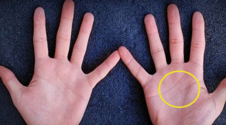Lòng bàn tay có 4 dấu hiệu này, bất kể nam hay nữ đều có lộc, cả đời không lo thiếu tiền