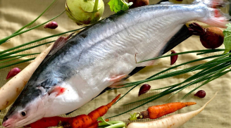 Loại cá đặc sản, ăn thơm như dứa: Giá cao 'ngất ngưởng' gần 1 triệu/kg vẫn hết hàng