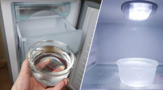 Đặt 1 bát nước vào tủ lạnh: Có công dụng quý nhà nào cũng cần dùng mà không biết để áp dụng