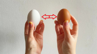 Ăn trứng gà vỏ trắng và vỏ nâu, loại nào bổ hơn?