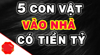 5 loài vật con cưng Thần Tài ôm tiền vào nhà: Đừng dại đuổi đi kẻo mất lộc
