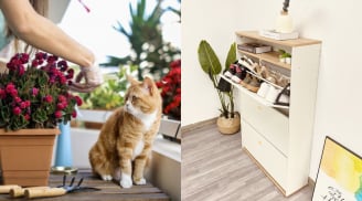 6 không 5 chọn cho khu vực ban công để gia chủ đón nhận điềm may, tiền của dồi dào