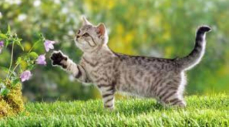 Một bước thành đại gia: 3 tuổi tháng 10 kiếm tiền dễ dàng, tháng 11 của cải tích lũy tăng gấp hai gấp ba