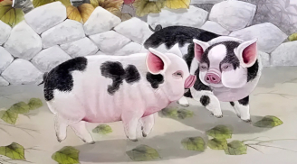 3 con giáp có lộc kinh doanh, được thần may mắn trải đường, càng hậu vận càng tích lũy của cải