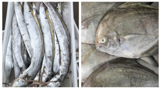 6 loại cá không thể nuôi hóa chất: Bổ như nhân sâm ngàn năm tuổi, đi chợ nhìn thấy đừng tiếc tiền mua