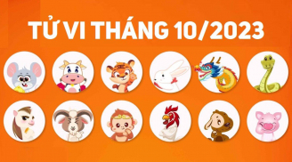 Tử vi tháng 10: 4 tuổi đời như 'trúng số', làm đâu thắng đấy, giàu có vô biên