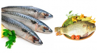 5 loại cá được ví là 'sâm nước ngọt' đi chợ nhìn thấy đừng bỏ qua: Đặc biệt loại thứ 3, cực rẻ