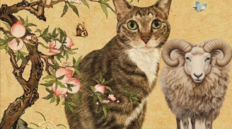 Qua cơn bĩ cực: 3 tuổi bước vào thời vàng son, 'rung đùi' hưởng phúc trong 3 năm tới