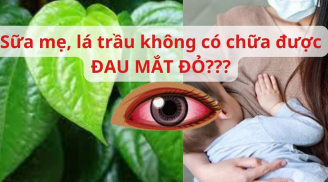 Dịch đau mắt đỏ: Nhỏ sữa mẹ, rửa lá trầu không có hết đau mắt như lời đồn?