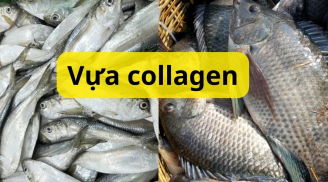 2 loại cá rẻ tiền nhất ngoài chợ Việt Nam lại là vựa collagen và canxi được thế giới ca ngợi
