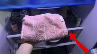 Đặt một chiếc khăn vào tủ lạnh: Giải quyết gọn tá vấn đề, ai không biết quá phí