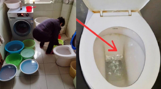 Tại sao bạn tuyệt đối không được đổ nước thải sinh hoạt vào Toilet?
