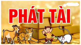 Sau đêm nay Cá Chép hóa Rồng: 3 tuổi hết Tam Tai, cầu tài đắc tài, cầu lộc đắc lộc trong 2 năm tới
