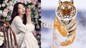 Cuối năm 2023: 4 tuổi nghèo khổ vụt bay, tay trái thu tiền, tay phải hốt bạc, giàu có hơn người