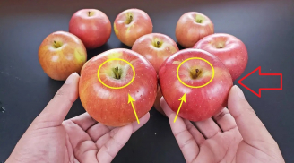 Mua táo chọn 1 quả có điểm này: Vừa giòn vừa ngọt, nhiều dinh dưỡng nhất