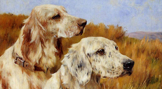 Trời thương người tài đức: 3 tuổi may mắn hết phần thiên hạ, từ nay đến Tết 2024 tiền bạc đủ đầy giàu sang