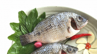 Những người hay ăn cá rô phi nhất định phải biết điều này trước khi ăn loại cá này