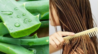 Cách sử dụng 1 loại thảo mộc tốt nhất để điều trị mọi vấn đề về tóc của bạn một cách tự nhiên