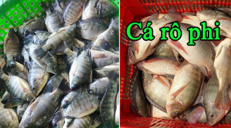 Loại cá cực giàu collagen, giúp ngừa lão hóa: Bán đầy chợ Việt, chị em muốn trẻ đẹp nên ăn ngay