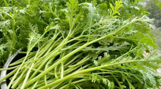 Loại rau xưa chỉ có hoàng đế được ăn, mùa đông dưỡng tim, an thần, nhuận phổi, bổ gan