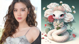 Đầu đông 2023: 4 tuổi như Rồng đạp gió, trăm lần may mắn, vạn lần thành công, ngồi không cũng thành đại gia