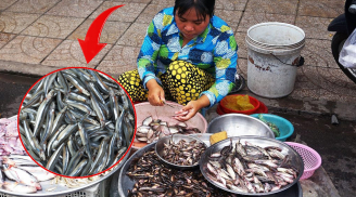 Loại cá bé tí bán đầy chợ: Giàu canxi gấp 74 lần canh xương hầm, già hay trẻ ăn đều tốt