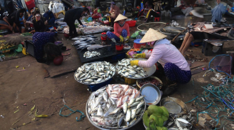 Những loại cá 'bẩn' nhất chợ, nhiều người không biết còn hay mua về bồi dưỡng, xem lại ngay, cẩn thận rước bệnh