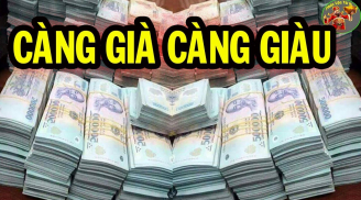 Càng già càng giàu: 3 tuổi tựa cỗ máy in tiền giàu số 2 không ai số 1,công danh thăng tiến đếm tiền mỏi