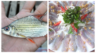 5 loại cá nước ngọt gây K gan, người Việt Nam tthường ăn mà không hay biết