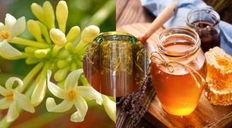 Hoa đu đủ đực ngâm mật ong có 9 công dụng cực quý: Những ai nên ăn?