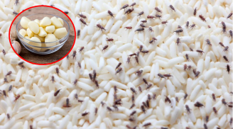 Bỏ 5 thứ này vào thùng gạo, chẳng sợ mối mọt bò vào, để cả tháng gạo vẫn thơm nức