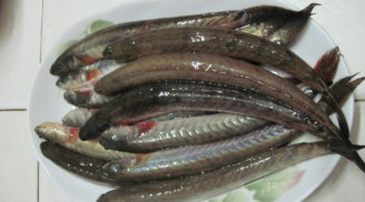Cho con ăn loại cá này: Hấp thụ tốt, cao lớn nhanh như thổi