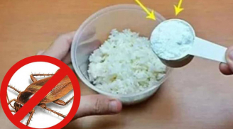 Trộn cơm nguội với bột giặt: Giải quyết nhiều rắc rối nhà nào cũng gặp, tiết kiệm tiền triệu