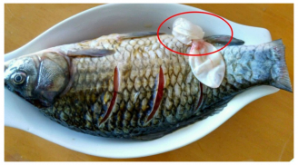 Ăn cá đừng chỉ chăm chăm ăn thịt: Đây mới là 5 bộ phận đại bổ, nhiều người không biết quá lãng phí